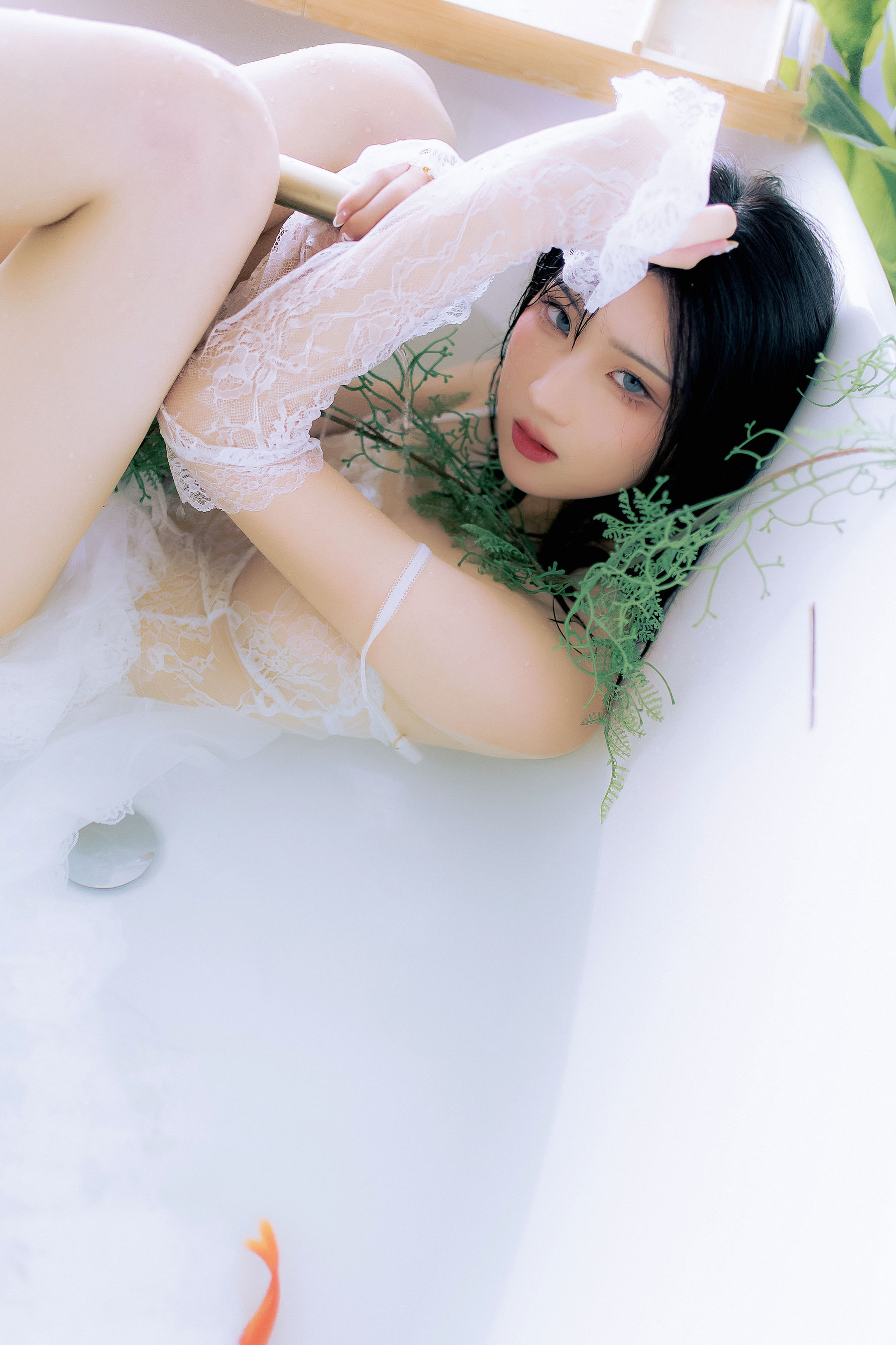 瓦斯塔亚小龙虾 – 鲸 [23P]插图2